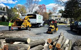 Best Tree Trimming and Pruning  in Moscow, PA