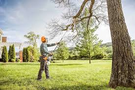 Best Arborist Consultation Services  in Moscow, PA