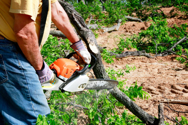 Best Tree Preservation Services  in Moscow, PA